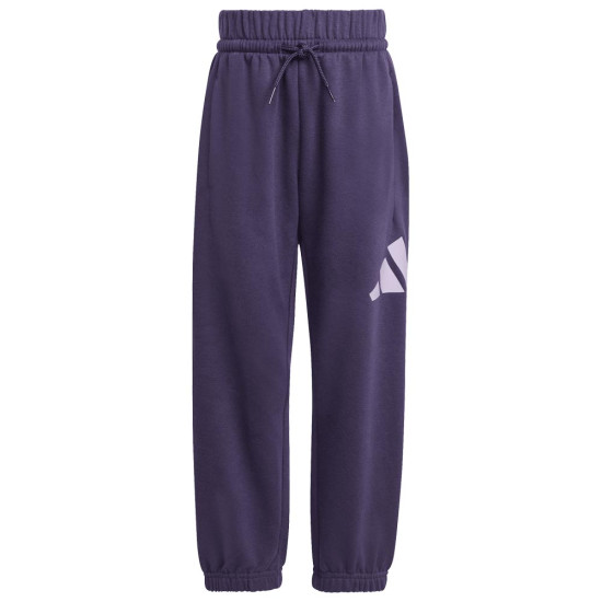Adidas Παιδικές φόρμες σετ Essentials Fleece Big Logo Joggers Set Adidas Παιδικές φόρμες σετ Essentials Fleece Big Logo Joggers Set